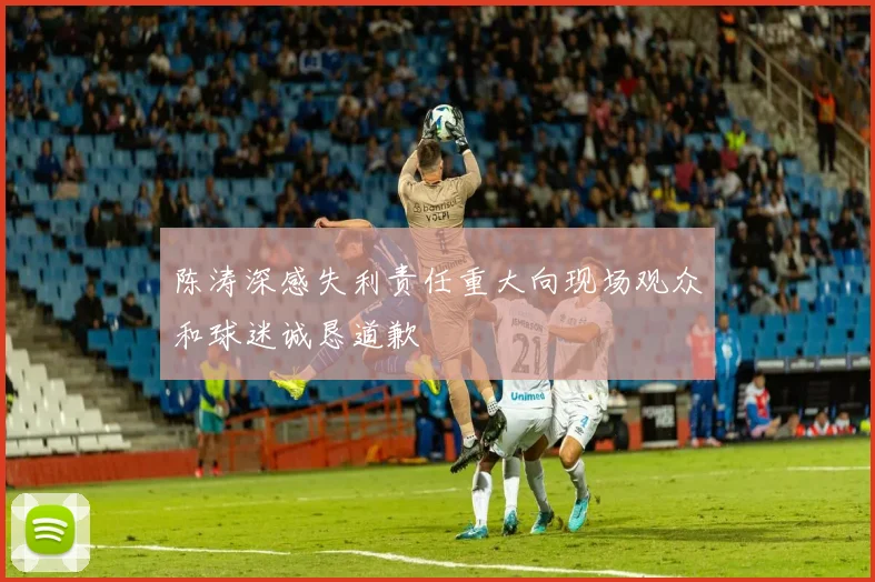 陈涛深感失利责任重大向现场观众和球迷诚恳道歉