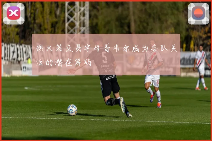 热火若交易字母哥韦尔成为各队关注的潜在筹码