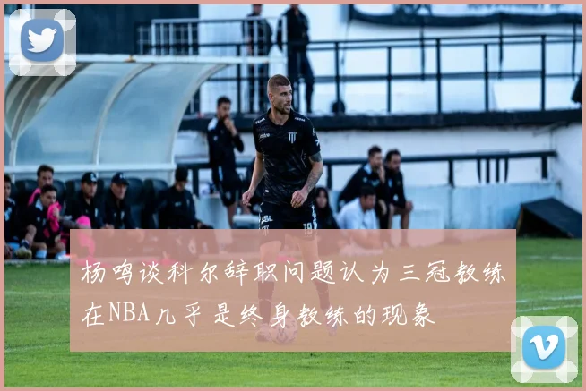 杨鸣谈科尔辞职问题认为三冠教练在NBA几乎是终身教练的现象
